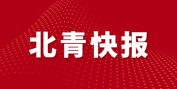战胜印度尼